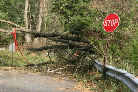 The Aftermath of Hurricane "Frankenstorm" Sandy