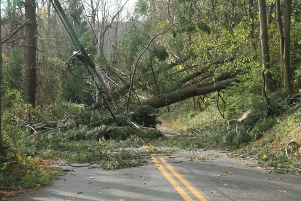 The Aftermath of Hurricane "Frankenstorm" Sandy