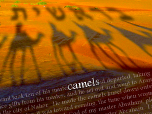 Camels-Genesis